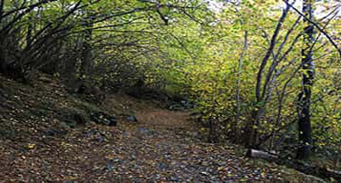 Ideas i disseny de activitats de crèdits de síntesi