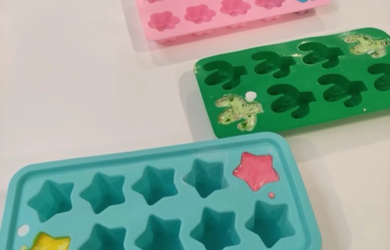 Projectes d'educació ambiental a mida per escoles Disseny de projectes educatius de medi ambient