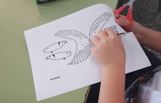 Educació mediambiental a escoles Taller d'educació ambiental a una escola de la província de Barcelona