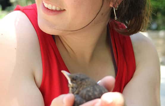 Monatur solucions per l'educació ambiental a l'aula Monatur connecta amb el medi ambient