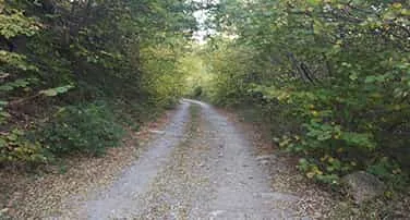 Què és l'educació ambiental? guia completa educació ambiental monatur Què és l'educació ambiental? guia completa