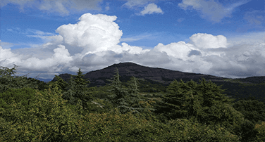 l’aprenentatge i servei en tallers i xerrades Tallers i xerrades d’aprenentatge i servei per l’escola de la mà de monatur