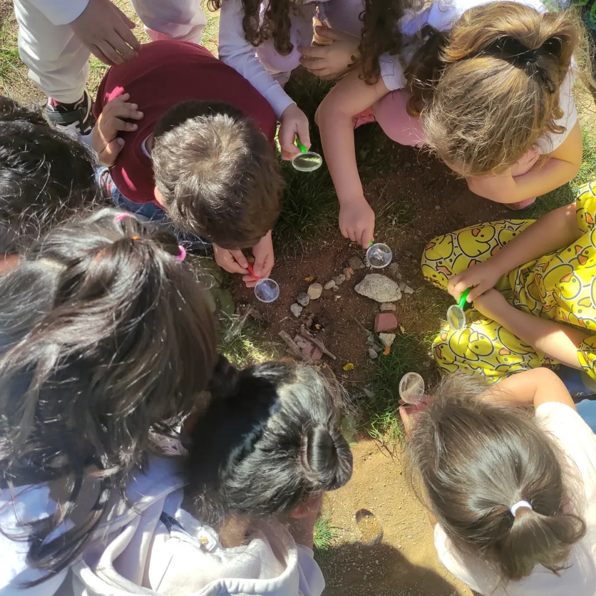 Sortides de natura per a escoles: guia 2026 educació ambiental monatur Sortides de natura per a escoles: guia 2026