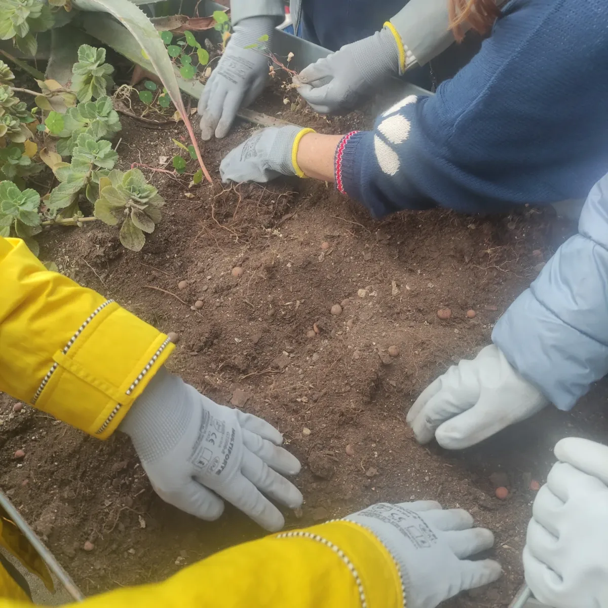 Sostenibilitat i educació: per què van juntes educació ambiental monatur Sostenibilitat i educació: per què van juntes