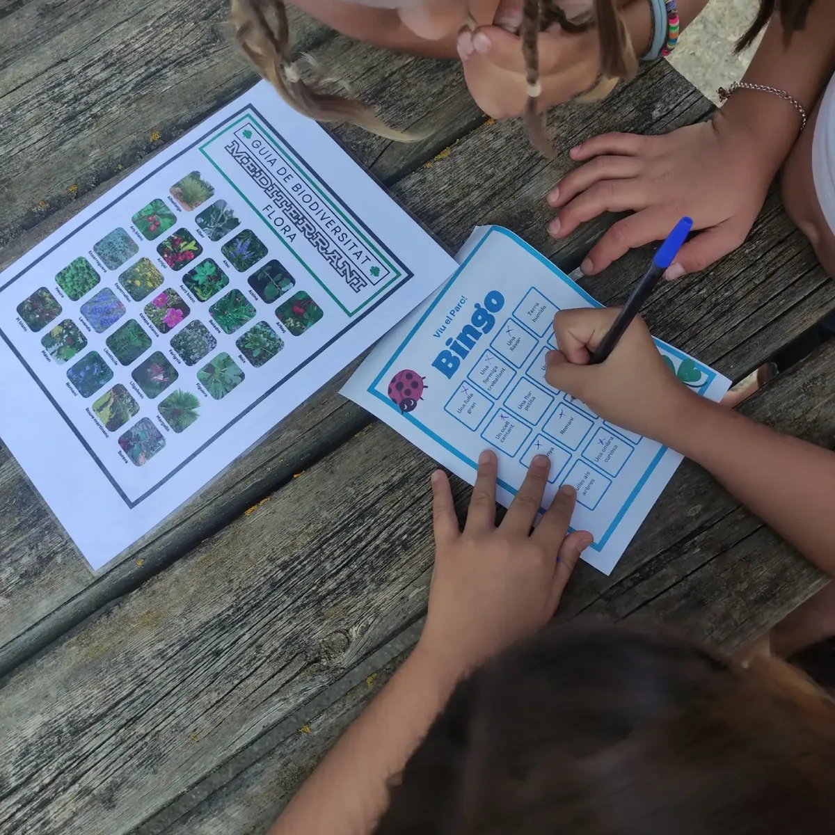 Taller d'educació ambiental segons l'edat