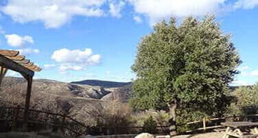 Tallers de edudació a l'escola de monatur