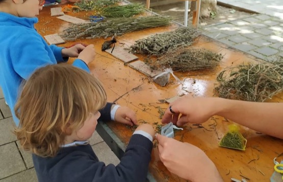 Tallers pràctics d'educació ambiental per escoles Taller d'educació ambiental a una escola