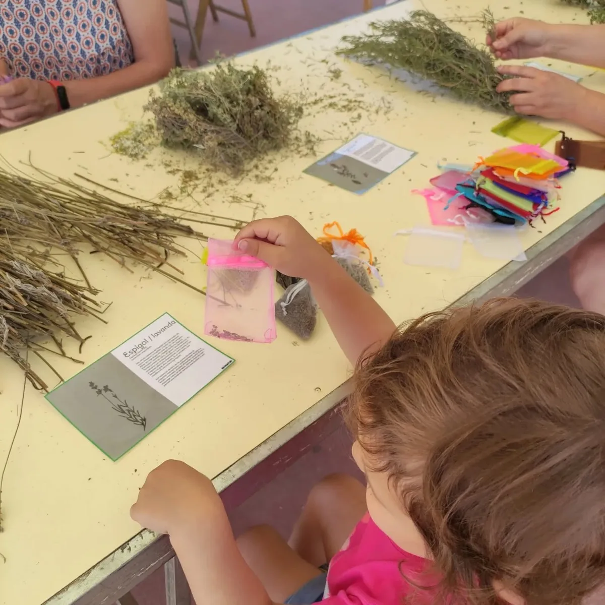 TALLERS D'EDUCACIÓ AMBIENTAL PER A FIRES